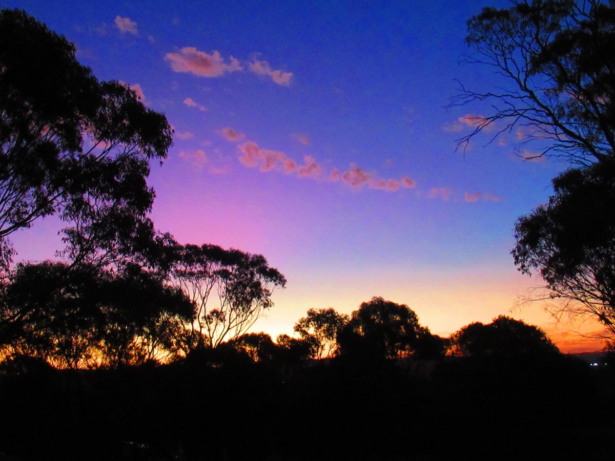 That First Lady Touch – Original&nbsp;Song