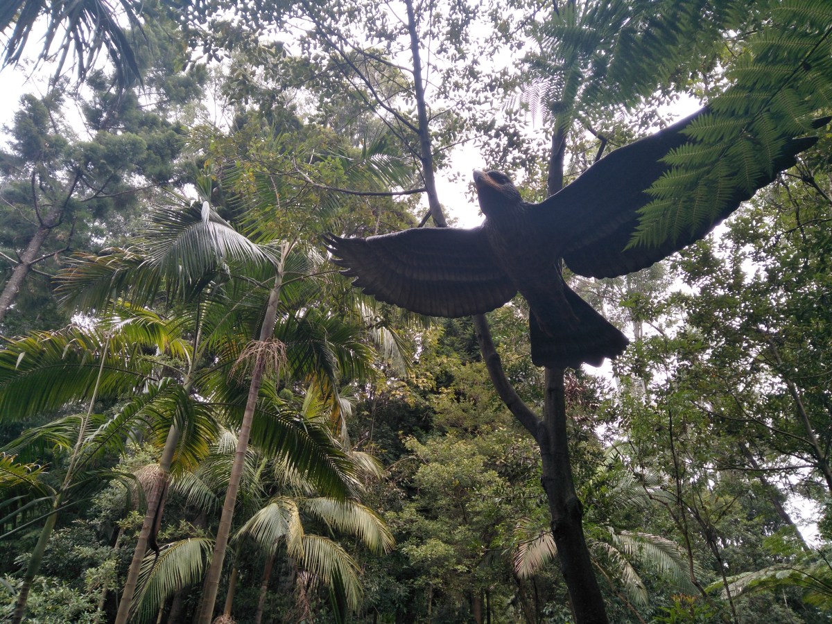 The Life Force of my&nbsp;Poetry