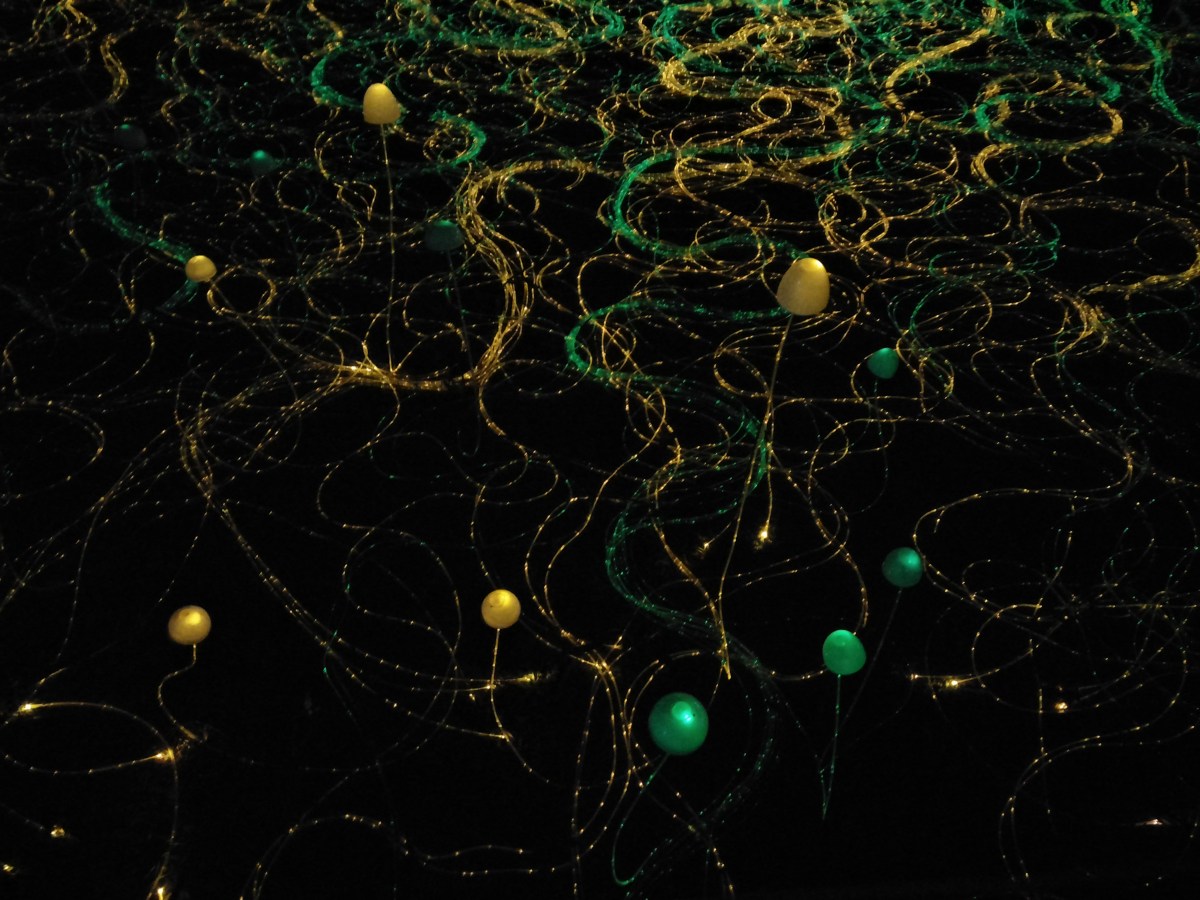 I Love You Like The&nbsp;Universe